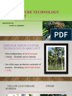 Tissue Culture Technology in Arecanut