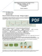 Ficha de Revisões 1