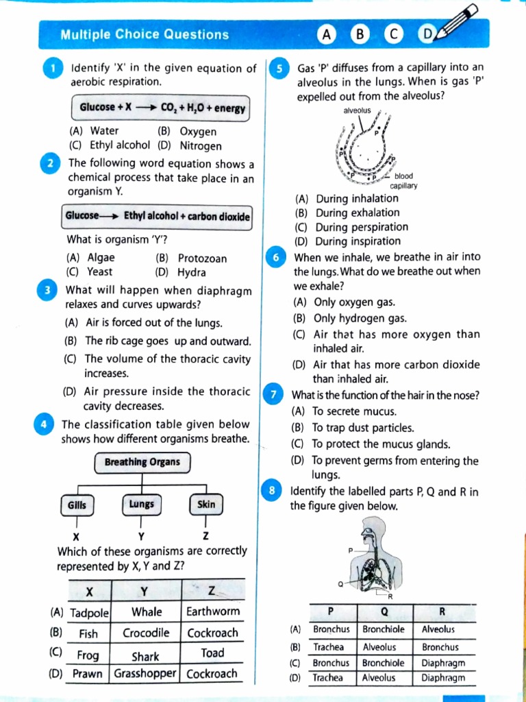MCQ Respiration PDF