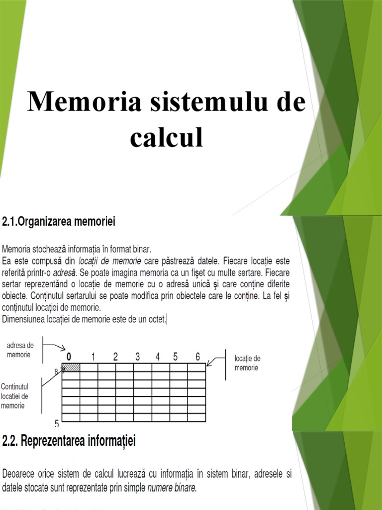 Memoria Sistemulu de Calcul | PDF