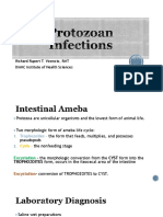 3 - Protozoan Infections PDF