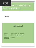 Elias BAIS Database Manual2