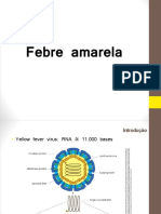 Febre Amarela