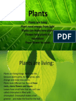 Plants