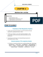 Chapter 6 Respiratory System PDF