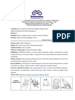 Plano de Aula Cadeias Alimentares PDF