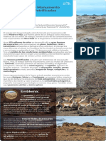 Ficha - PN Bosques Petrificados de Jaramillo PDF