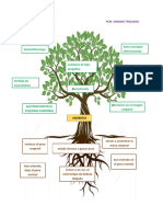 Árbol de Problemas-Anorexia-Mtc