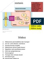 Homeostasis dan transportasi seluler