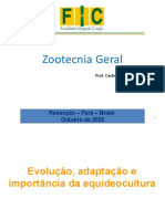 Equideocultura no Brasil e Pará