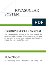 Cardiovasuclar System