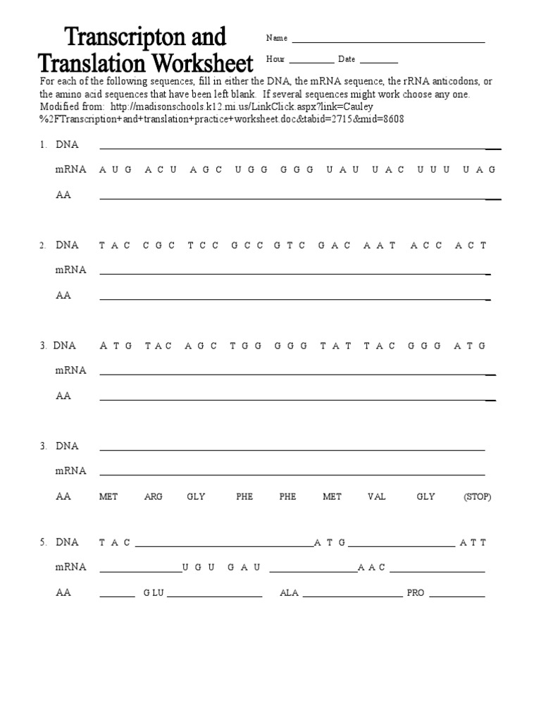 12-13Transcription and Translation Practice | PDF