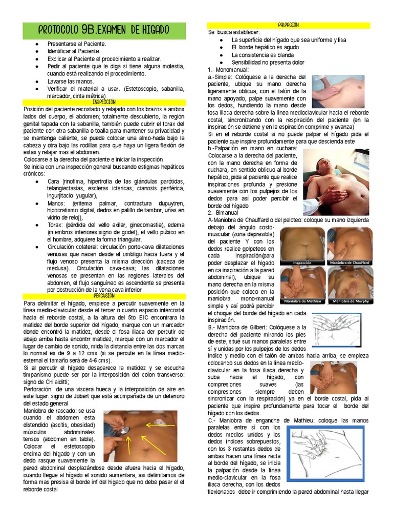 Protocolo de Examen Hepático y Esplénico | PDF | Abdomen | Bazo