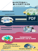 Competencia Fundamentales PDF