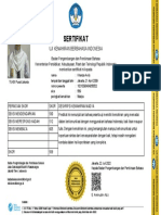 SK-SD-BB-0207994 2 PDF
