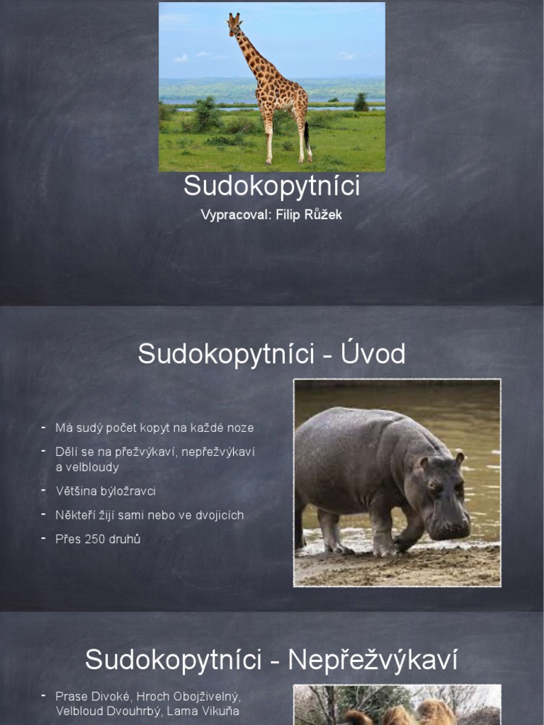 Sudokopytnici PDF