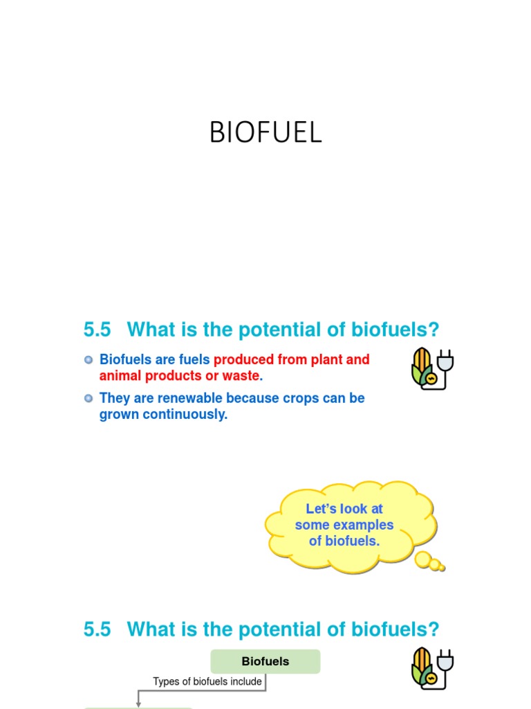 BIOFUEL | Download Free PDF | Biofuel | Biodiesel