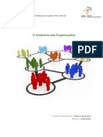 O Ambiente Das Organizações - TGIG