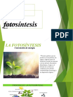 La Fotosíntesis, Darwin de Oleo, 100703753