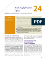 Metabolism of Acylglycerols & Sphingolipids