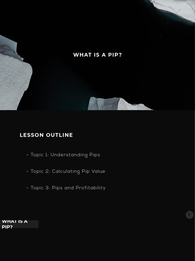 What Is A Pip | PDF | Exchange Rate | Microeconomics