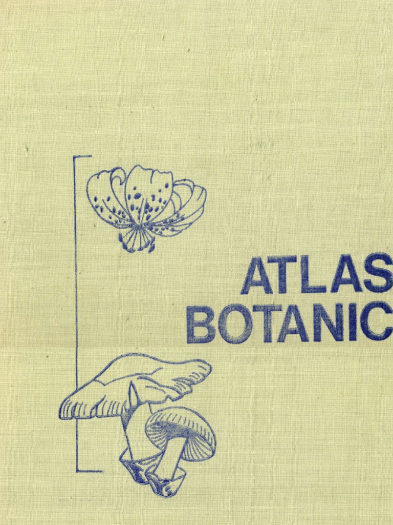 Atlas de Botanica PDF | PDF
