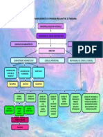 Organigrama 2019 2020 Gradinita pp26 Timisoara