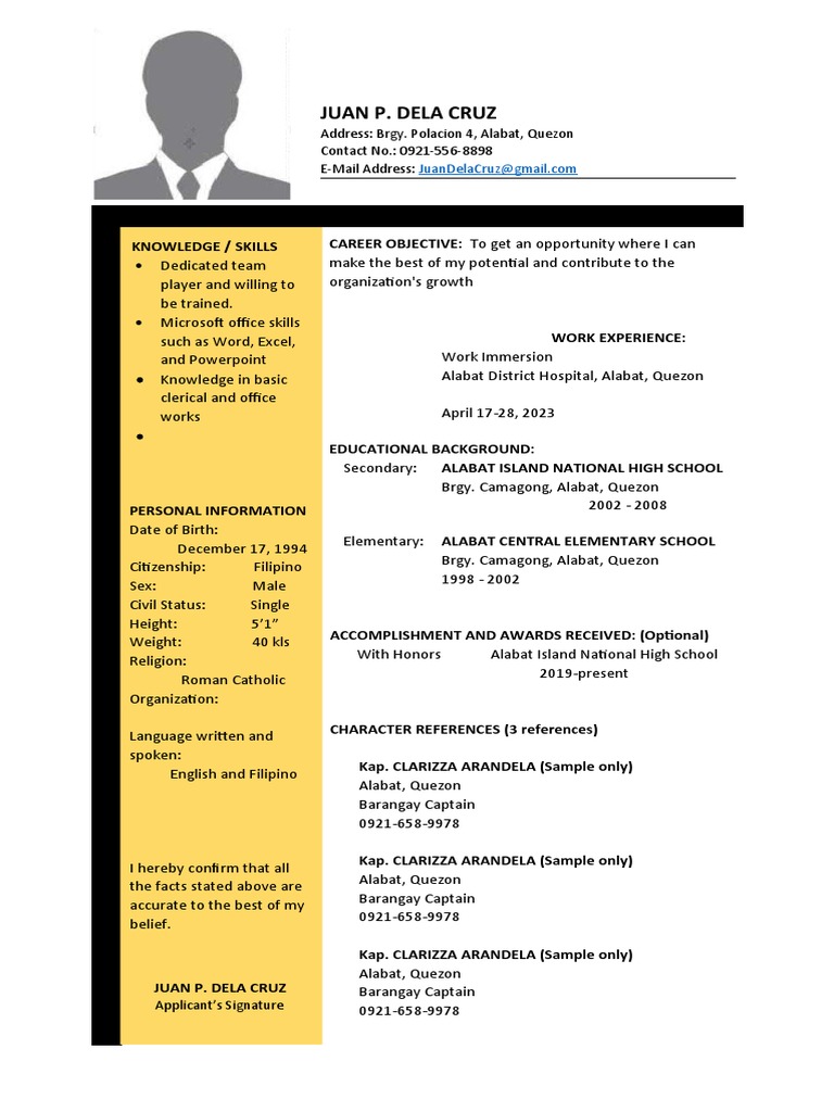 Resume Format Stem PDF