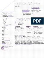 Biologia Do Desenvolvimento