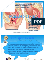 Prolapso Genital: Factores de Riesgo, Clasificación y Fisiopatología