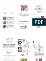 Guia RCP Rne PDF