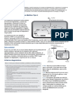 Monografia Diabetes PDF