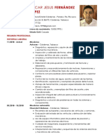 CV 1 PDF