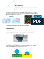 Bioquimica N2