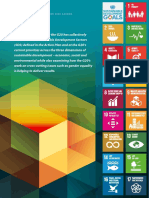 OECD UNDP G20 SDG Contribution Report 6