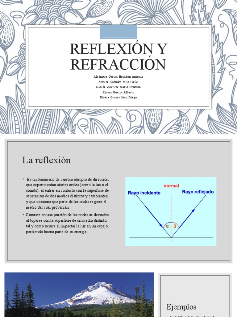 Reflexión y Refracción de la Luz | PDF | Refracción | Ligero