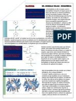 Hemoglobina y Mioglobina - Bioquímica PDF