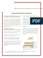 Actividad Bioindicadores #2 Grado Decimo