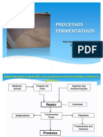  Processos Fermentativos 