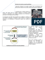 TD Corrige L Amelioration Par Genie Genetique PDF