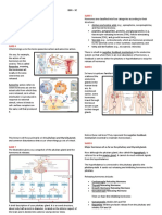 The Endocrine System