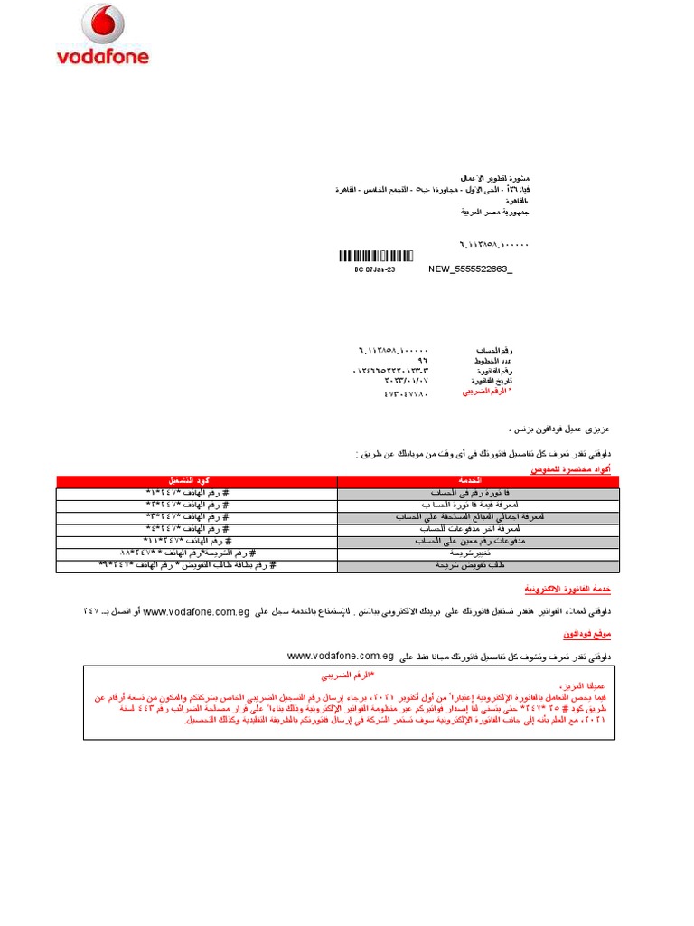 vodafone-egypt-customer-statement-and-payment-details-pdf