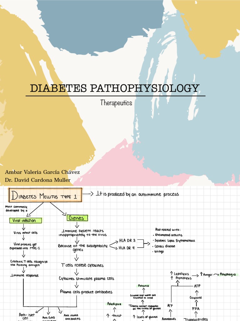 Diabetes Pathophysiology GCAV PDF