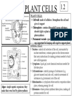 1.2 Animal and Plant Cells - Odp