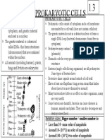 1.3 Eukayotic and Prokaryotic Cells - Odp