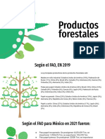 Productos Forestales - TDI