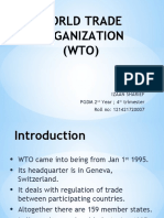 WTO - Presentation Izaan 07