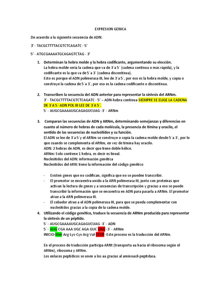 Lectura del ADN y síntesis de ARNm | PDF | Traducción (biología) | Adn
