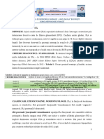 Document PDF-2