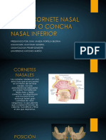 Hueso Cornete Nasal Inferior PDF